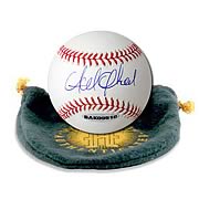 MLB Andrew McCutchen Signed Baseball